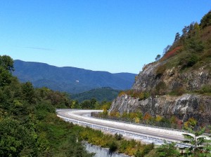 IMG_2154